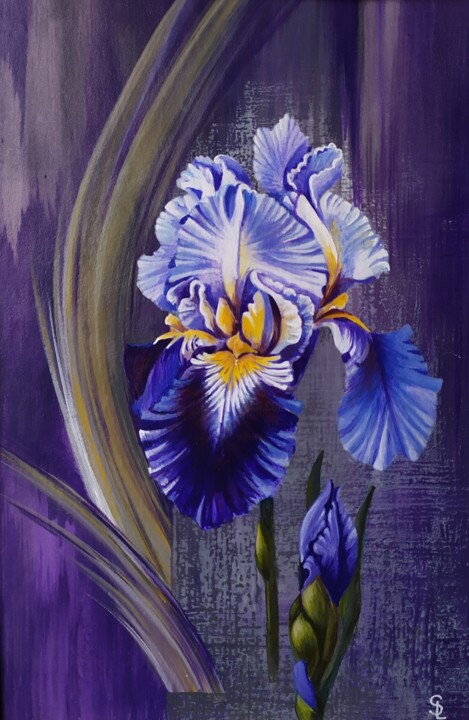 Iris